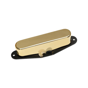 DiMarzio DP284G Notorious Neck Telecaster Guitar Pickup, Gold