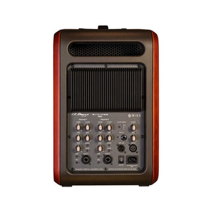 LR Baggs Synapse Personal PA System