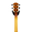 Taylor Custom 11077 Sinker Redwood/Sassafras V-Class Grand Auditorium Acoustic Guitar w/Case