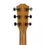 Taylor Custom 12030 Walnut Grand Pacific Acoustic Guitar, 90113