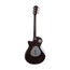 Taylor T5z Pro Electric Guitar w/Case, Gaslamp Black